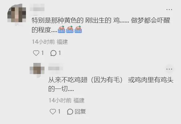 “我真的真的很怕鸡”！禽类恐惧症到底多真实？