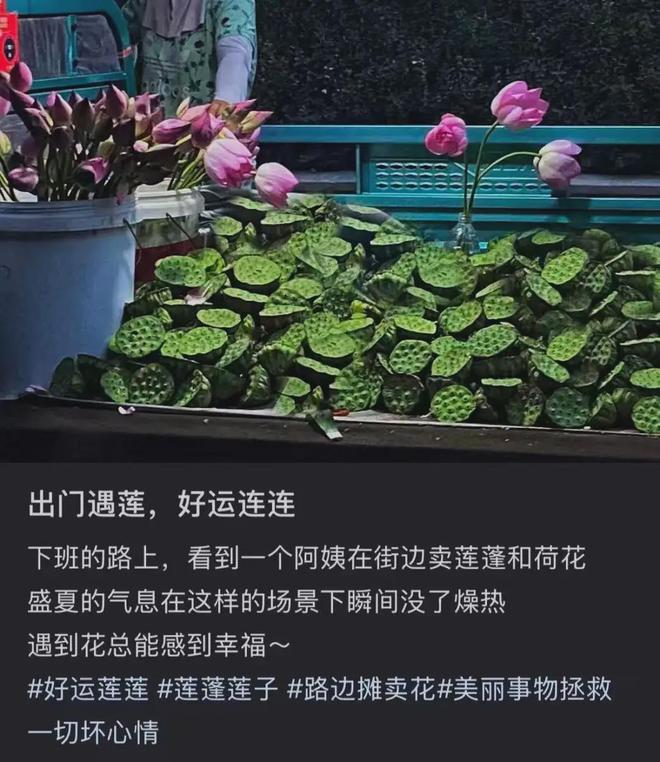 这种应季食物，高碳水却低GI，三高人群也能放心吃！