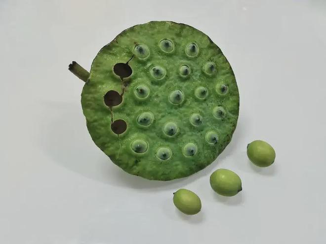 这种应季食物，高碳水却低GI，三高人群也能放心吃！