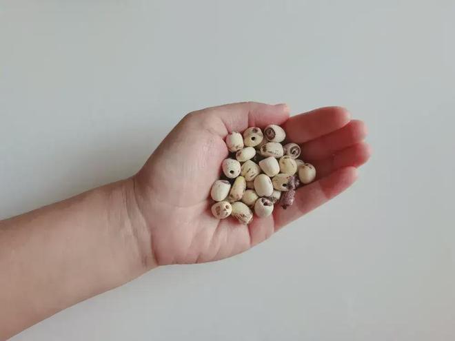 这种应季食物，高碳水却低GI，三高人群也能放心吃！
