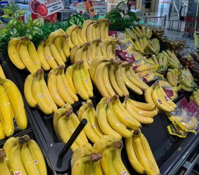 为什么精品超市难见国产香蕉？