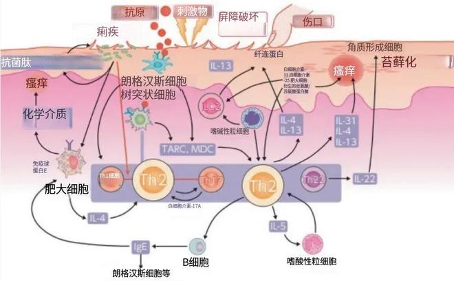 这种病不致命却折磨人，你可能也经历过