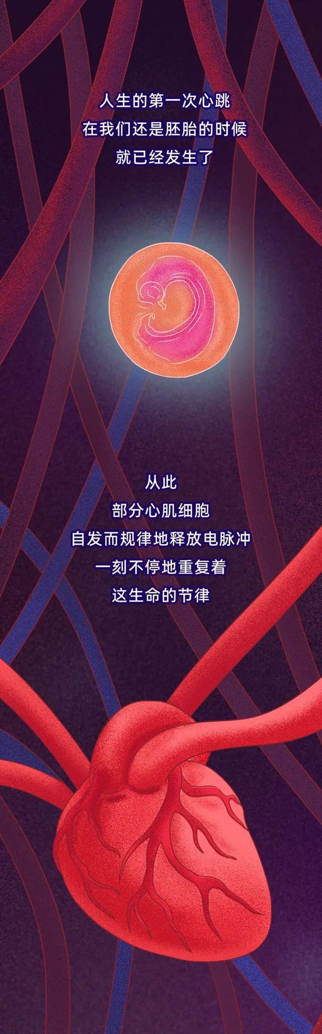 心脏最怕的4件事，你每天都在做！