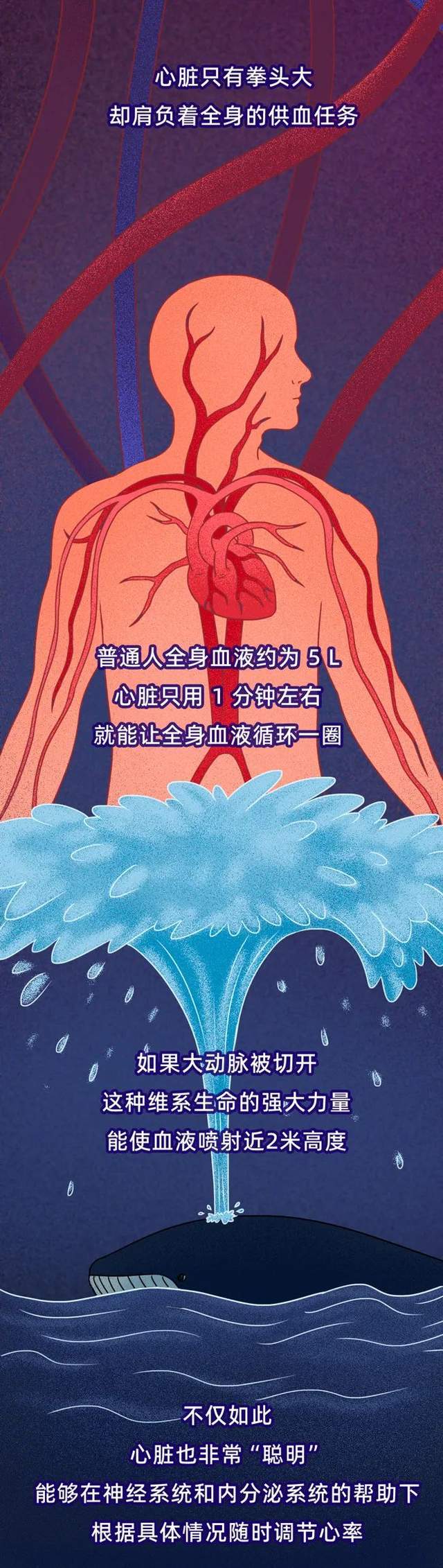 心脏最怕的4件事，你每天都在做！