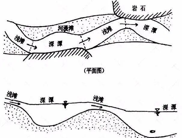 淡水鱼误入大海后能存活吗？真相揭秘
