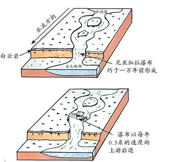 淡水鱼误入大海后能存活吗？真相揭秘