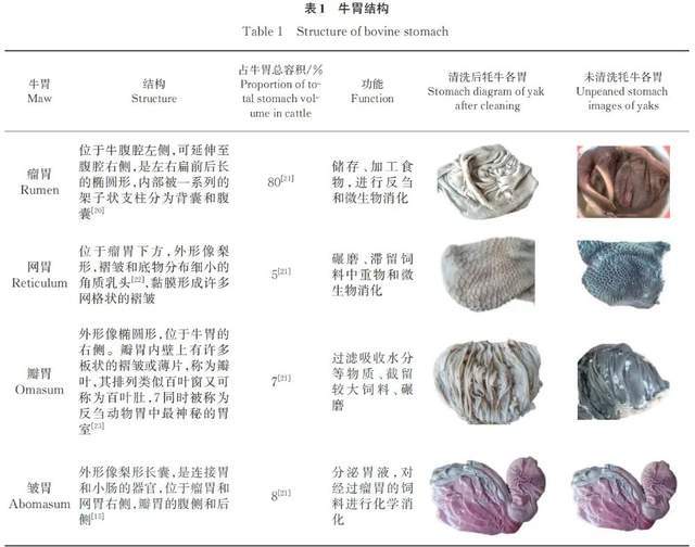 吃火锅涮毛肚，“七上八下”靠谱吗？