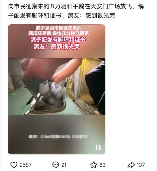 网友急问：9.3阅兵和平鸽迷路怎么办？