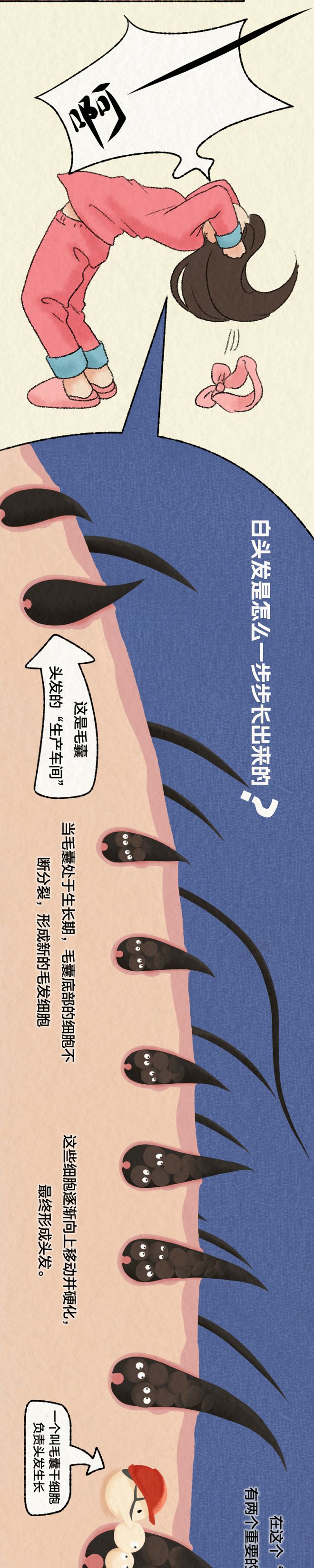 白发悄然生长全过程曝光！