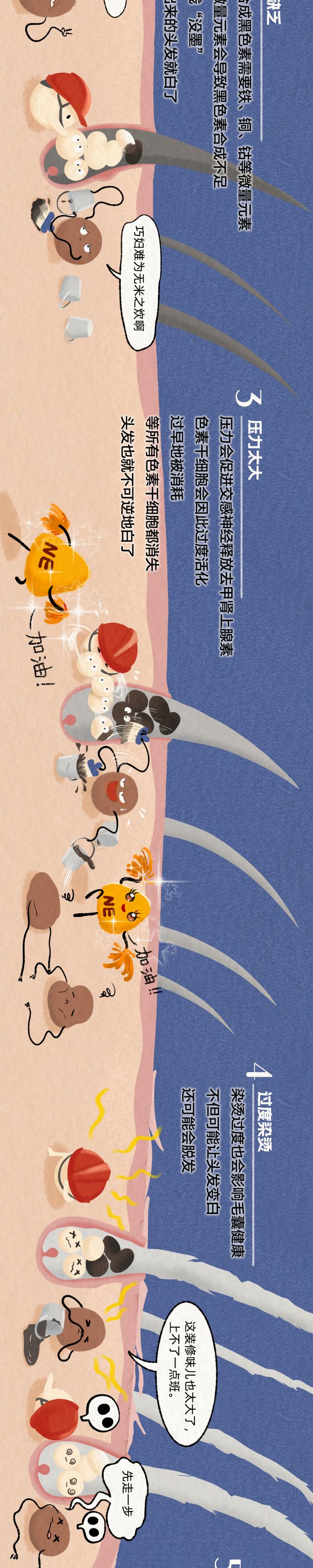 白发悄然生长全过程曝光！