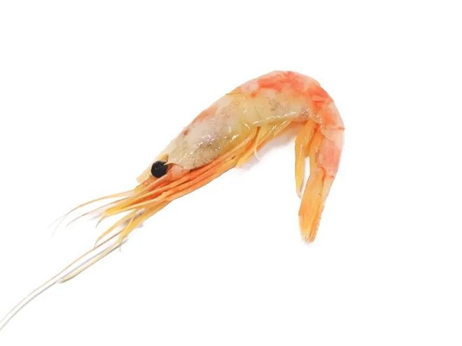 同为极地“虾兵”，为何我们常吃北极甜虾，少见南极磷虾？