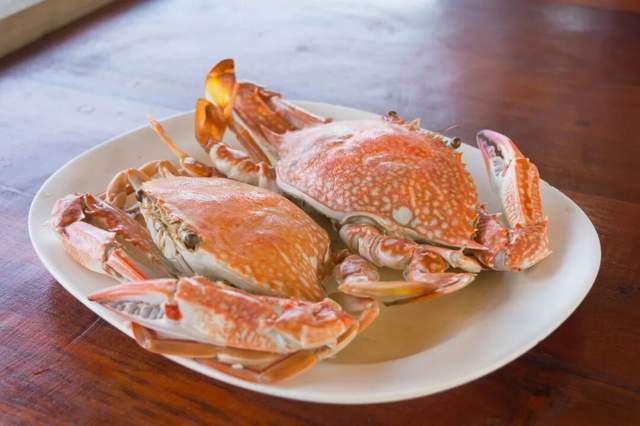 沿海人吃怕了？梭子蟹泛滥成“烦恼”