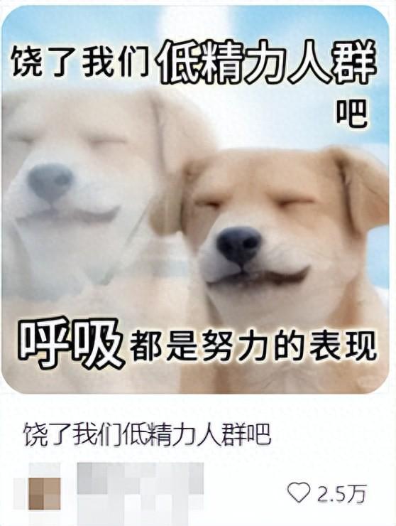 低能量星人集合：不是懒，是能量告急