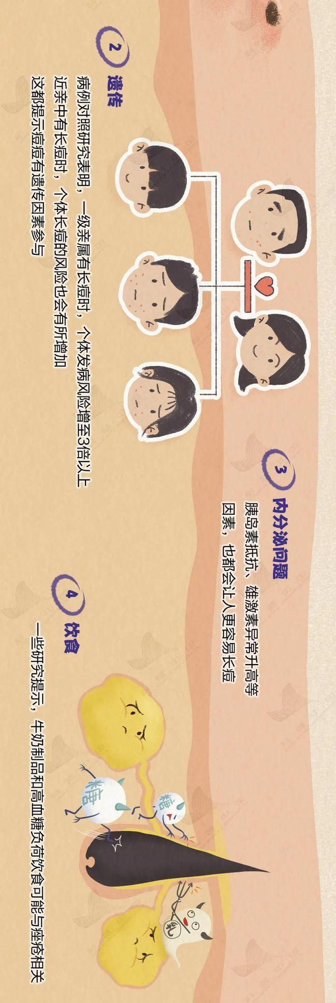 你脸上的痘痘就是这样一步步长出来的！全过程曝光