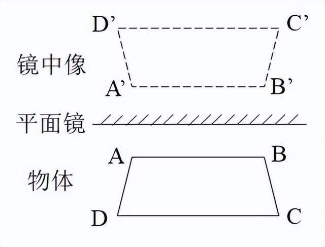 为什么镜子颠倒左右却不颠倒上下？