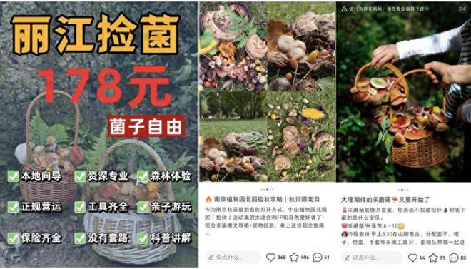 为什么强烈建议不要体验采蘑菇？