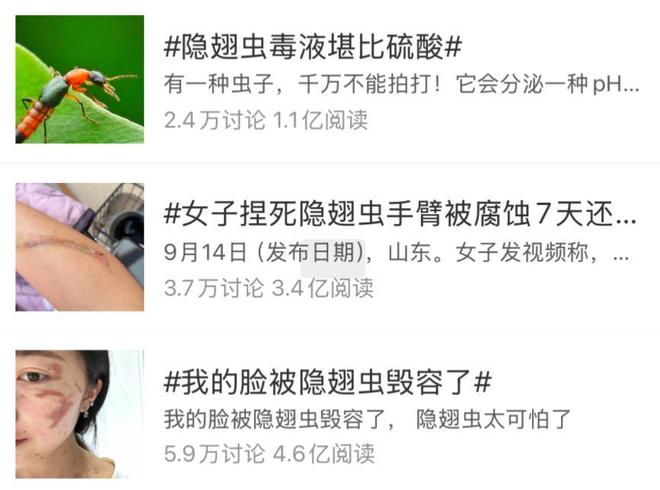 有人因此“毁容”！近期这种虫子出没，千万别拍