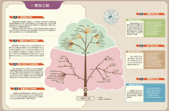 黄桃罐头真没营养？别被谣言骗了