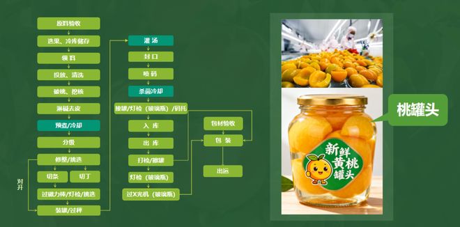 黄桃罐头真没营养？别被谣言骗了