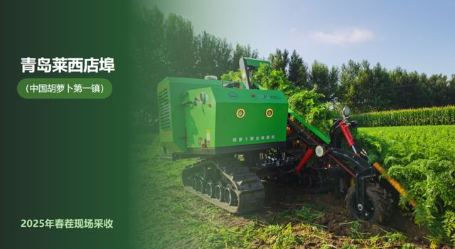 机器人种菜成真！胡萝卜的无人化生长奇迹