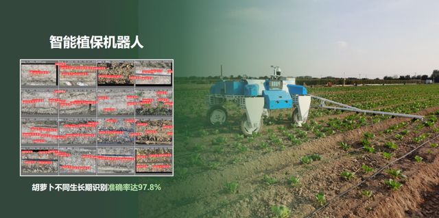 机器人种菜成真！胡萝卜的无人化生长奇迹
