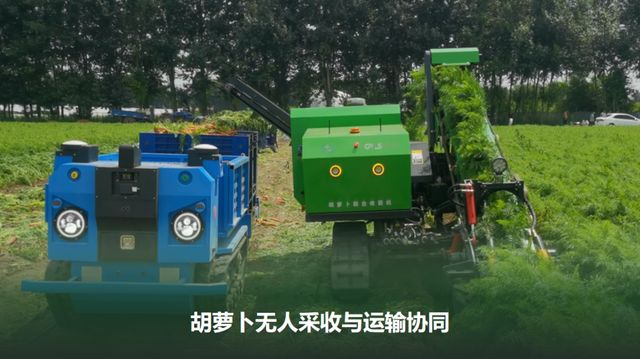 机器人种菜成真！胡萝卜的无人化生长奇迹