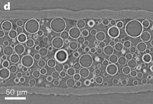 细菌“织”出绿色电子，中国科学家突破