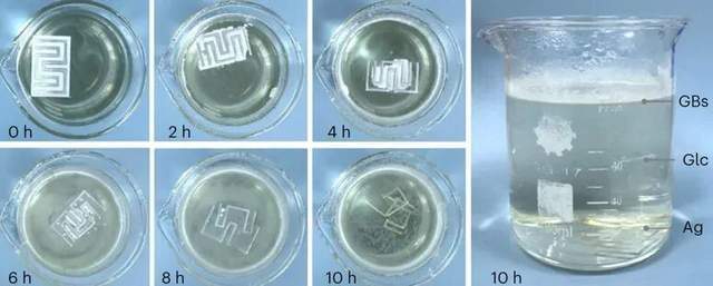 细菌“织”出绿色电子，中国科学家突破