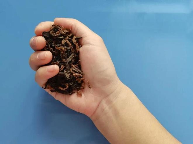 这种“丑菜”竟是下饭王！感谢浙江人发现